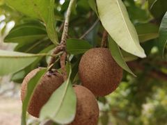 -中国移动南方基地