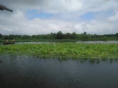 景点-溱湖国家湿地公园