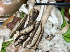 -阿山卓·野生菌火锅·纳西火塘烤肉