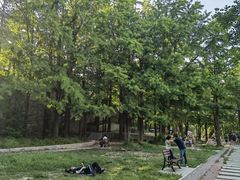 -阳台山自然风景区