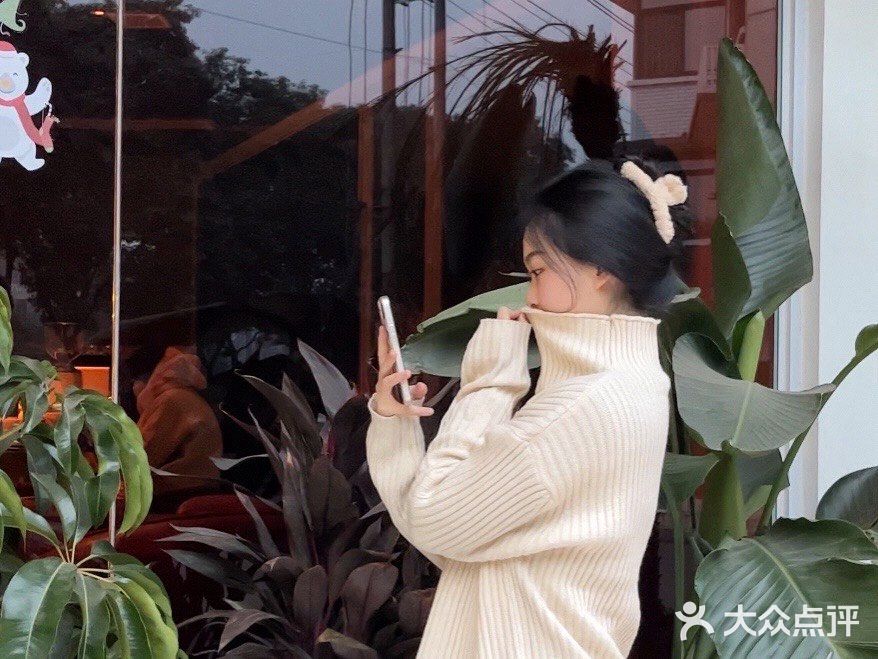 提拉米苏天花板