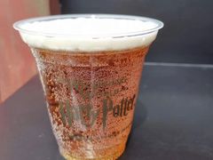 -哈利波特魔法世界