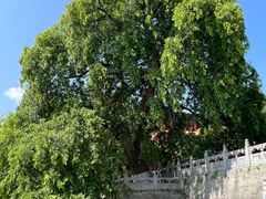 -报恩寺(平武县)