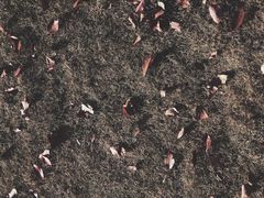 -中国美术学院象山校区-民艺博物馆