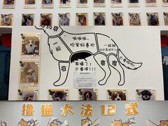 -有喵·猫咖·狗咖·30几只猫10只小狗(岗厦店)