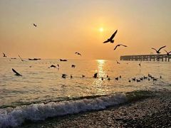 -大连海昌东方水城