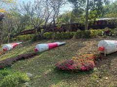 -揭东万竹园旅游景区