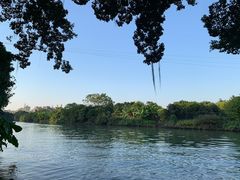 -小洲村