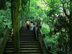 -青城山