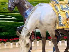 -内蒙古驻京办餐厅