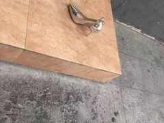 -天天喝丢一只鞋·烧烤·快餐(盐仓桥店)