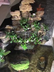 -红馆·发喆院