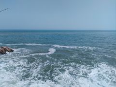 -小麦岛公园