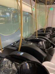 -Mr.JUDY洗个头发