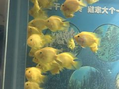 -福州罗源湾海洋世界旅游区