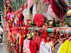 -西双版纳原始森林公园