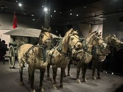 -秦始皇帝陵博物院-丽山园