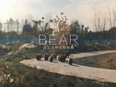 -野生动物园-停车场