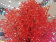 -凯德广场(西城店)