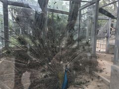 -水绘园