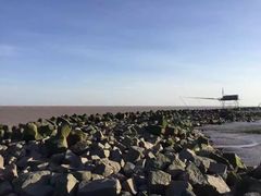 -南汇嘴观海公园