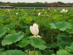 -南戴河国际娱乐中心