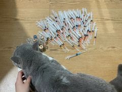 -爱侣宠医·鹦鹉专科·小型哺乳类·异宠专科(灵石路店)