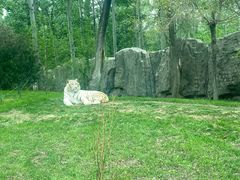 -北京野生动物园