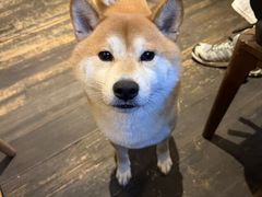 -三目仓咖啡(贤南路店)