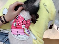 -猪盟咖啡店(玖洲道店)