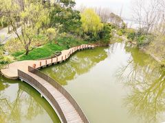 -上海滨江森林公园