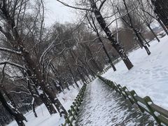 -长春市南湖公园