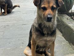 -途中饭店(开化店)