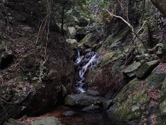 -梧桐山风景名胜区