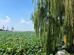 -重元寺香积厨素斋馆