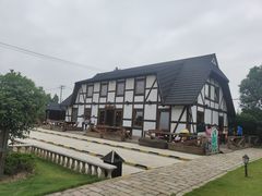 -金山农民画村-枫泾波兰倒置屋