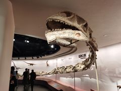 -自贡恐龙博物馆