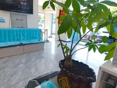 -德元·美联众合24小时动物医院(总院)