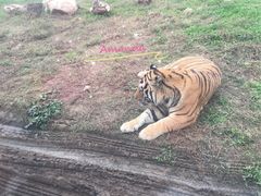 -西安秦岭野生动物园