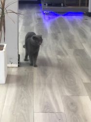 -KIMI HAIR SALON·烫染设计店