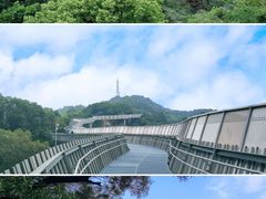 -福道