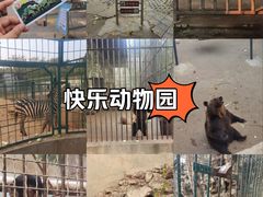 -保定市动物园