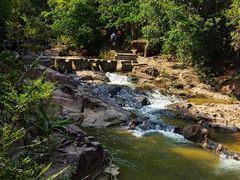 -广州白江湖森林公园