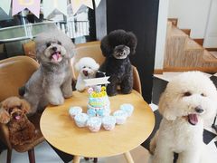 -Oh My Dog宠物沙龙(伊珊娜皮毛护理店)