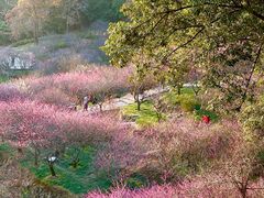 -鼓岭旅游度假区