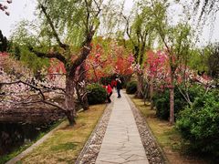 -无锡蠡湖国家湿地公园-蠡园