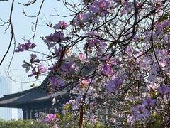 -海珠湖公园