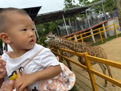 -西霞口神雕山野生动物世界