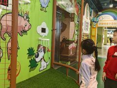 -中国宋庆龄青少年科技文化交流中心