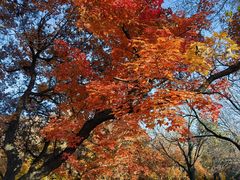 -长春市南湖公园